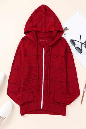 Zip-Up Raglan Sleeve Openwork Hooded Cardigan-Teresa's Fashionista LLC